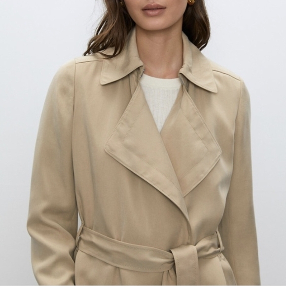BABATON Maximo Trench Coat Aritzia - Picture 9 of 10